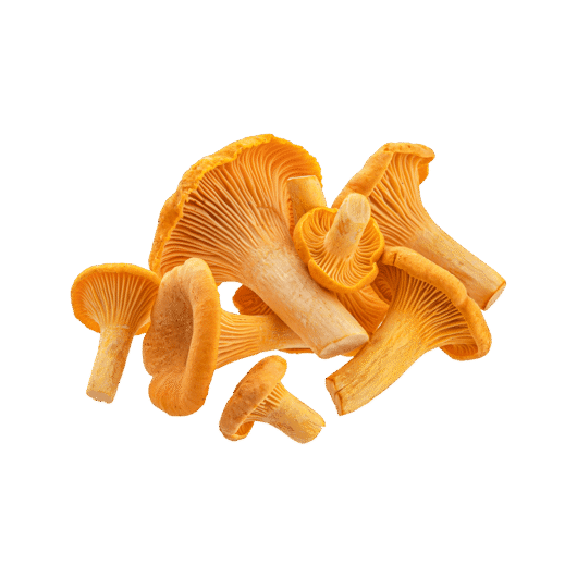 Chanterelle Mushrooms